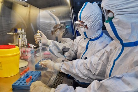 Главная особенность бессимптомных носителей COVID-19 Главная особенность бессимптомных носителей COVID-19