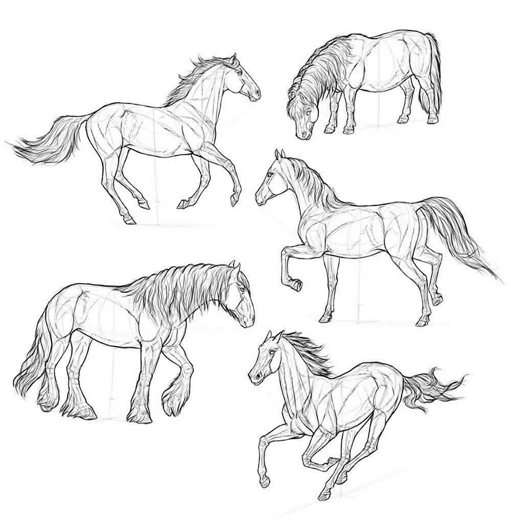 Рисование лошади