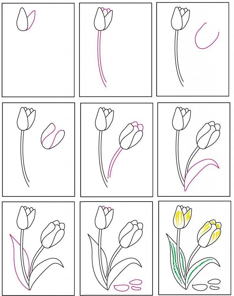 Рисование цветов для начинающих