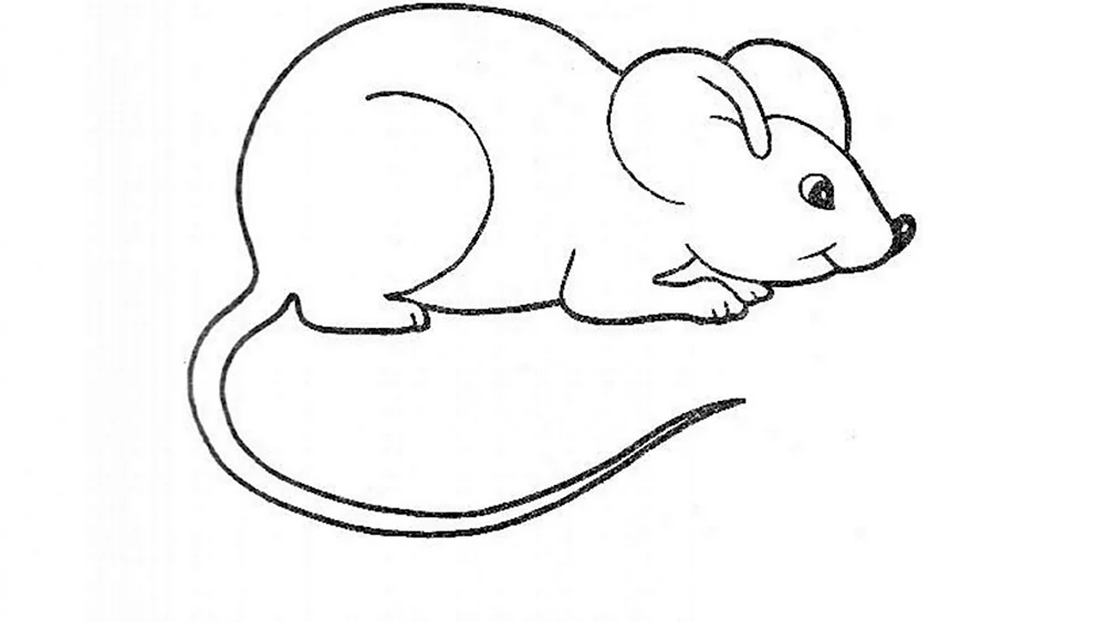 Мышь для срисовки