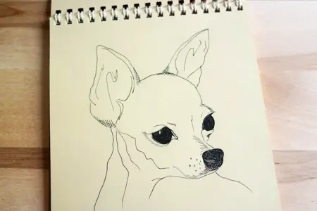 Рисунки для скетчбука для срисовки животные