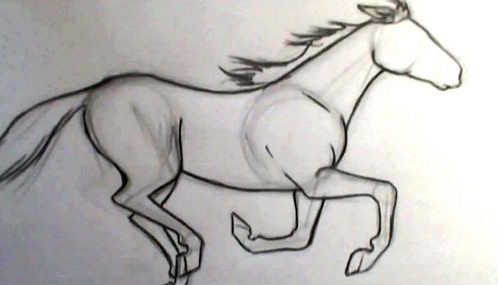 Рисунки кони лошади легко