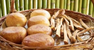 Нутрициолог перечислила топ-5 продуктов для борьбы с осенней хандрой