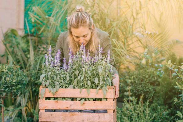
                Какие травы и цветы на даче под запретом и чем это грозит