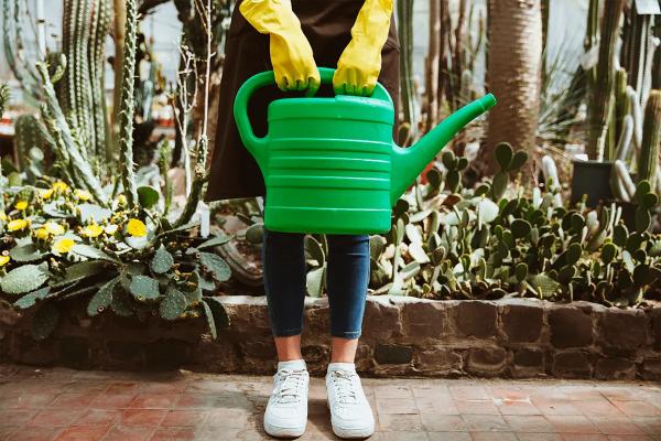 
                Какие травы и цветы на даче под запретом и чем это грозит